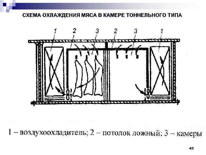 Холодильные камеры схема