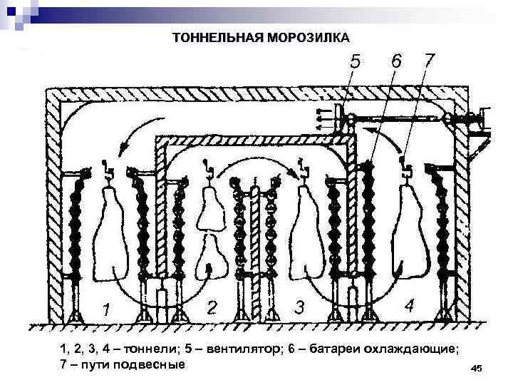 ТОННЕЛЬНАЯ МОРОЗИЛКА 1, 2, 3, 4 – тоннели; 5 – вентилятор; 6 – батареи