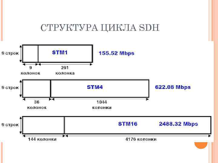 СТРУКТУРА ЦИКЛА SDH 
