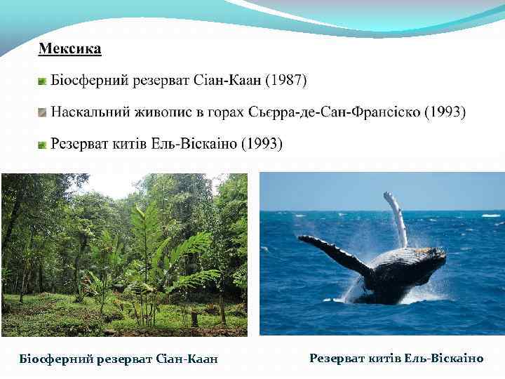 Біосферний резерват Сіан-Каан Резерват китів Ель-Віскаіно 