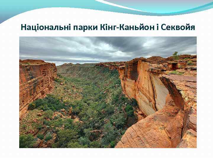 Національні парки Кінг-Каньйон і Секвойя 