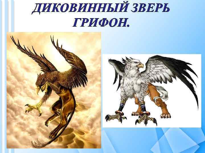 ДИКОВИННЫЙ ЗВЕРЬ ГРИФОН. 