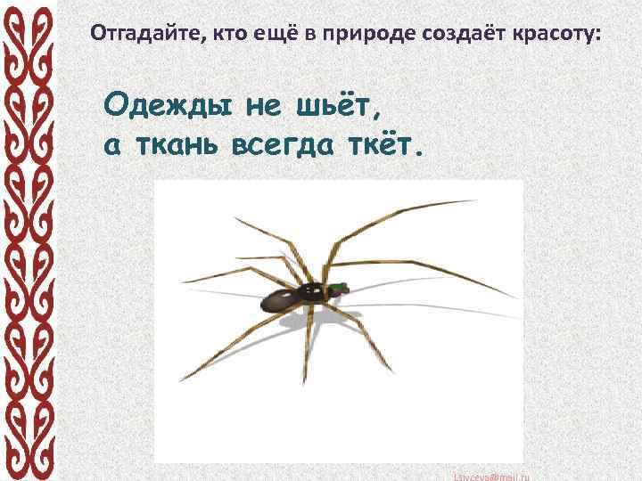 Отгадайте, кто ещё в природе создаёт красоту: Одежды не шьёт, а ткань всегда ткёт.