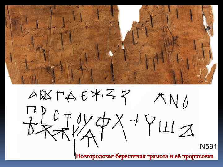 Новгородская берестяная грамота и её прорисовка 