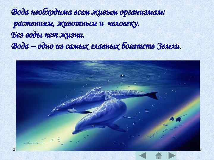 Вода необходима всем живым организмам: растениям, животным и человеку. Без воды нет жизни. Вода