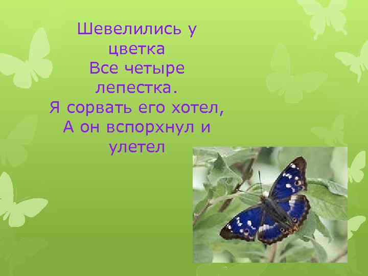 Шевелились у цветка Все четыре лепестка. Я сорвать его хотел, А он вспорхнул и