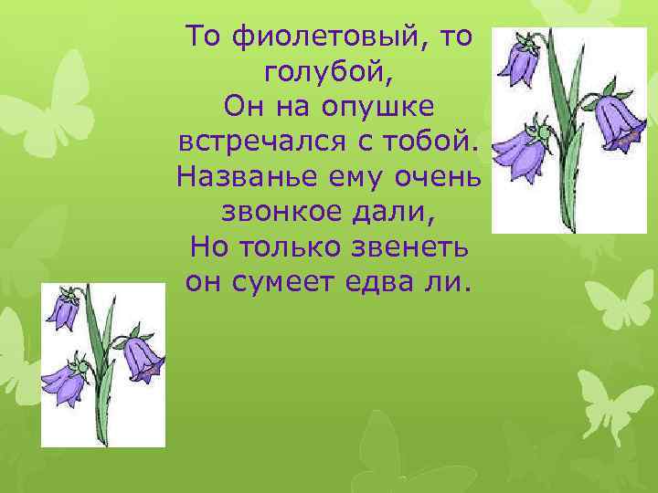 То фиолетовый, то голубой, Он на опушке встречался с тобой. Названье ему очень звонкое