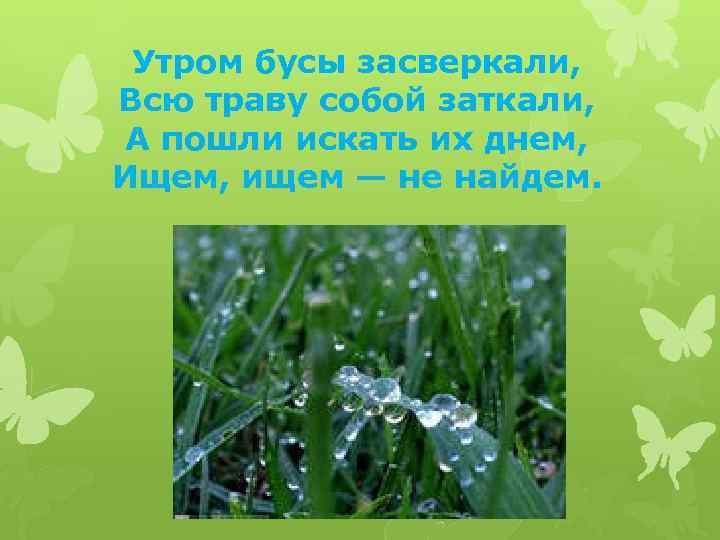 Утром бусы засверкали, Всю траву собой заткали, А пошли искать их днем, Ищем, ищем
