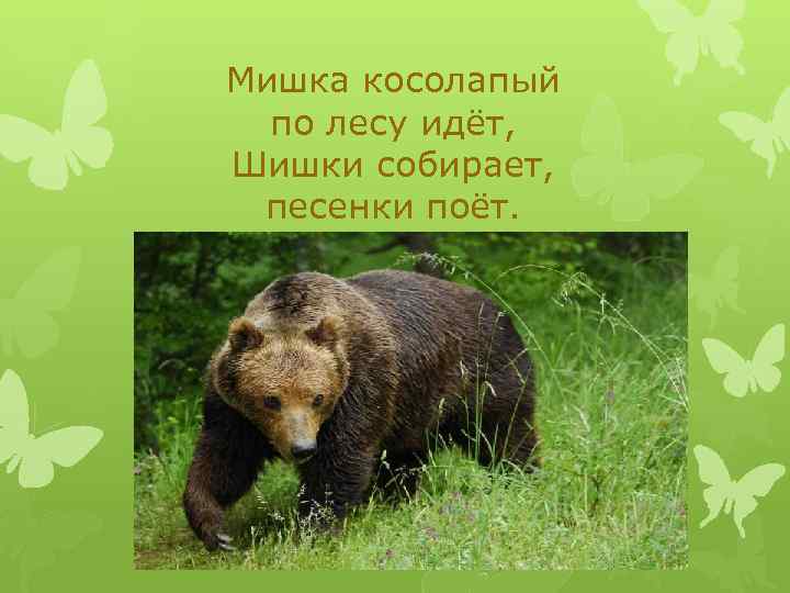 Мишка косолапый по лесу идёт, Шишки собирает, песенки поёт. 