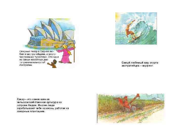 Самый любимый вид спорта австралийцев – серфинг. Сахар – это самая важная сельскохозяйственная культура