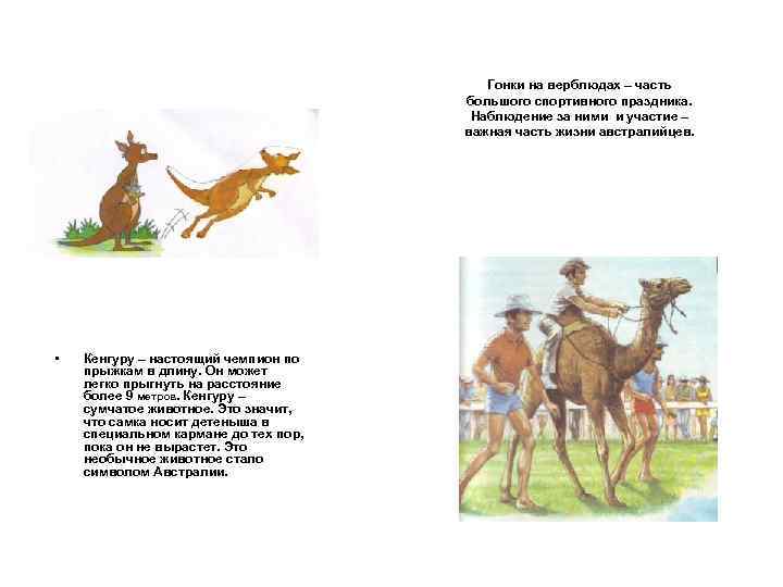 Гонки на верблюдах – часть большого спортивного праздника. Наблюдение за ними и участие –