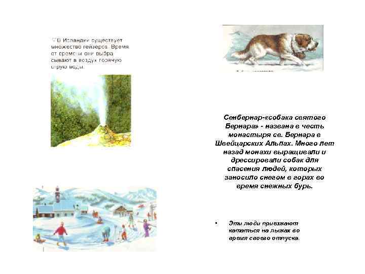 Сенбернар- «собака святого Бернара» - названа в честь монастыря св. Бернара в Швейцарских Альпах.