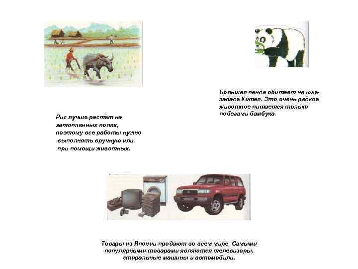 Рис лучше растёт на затопленных полях, поэтому все работы нужно выполнять вручную или при