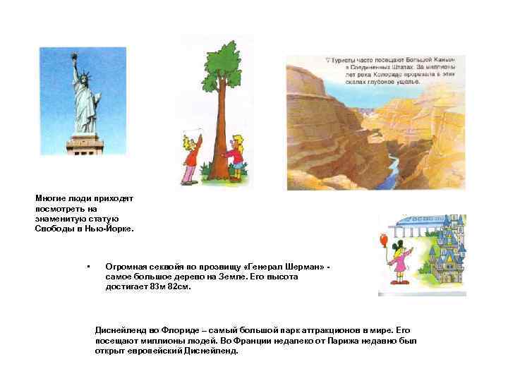 Многие люди приходят посмотреть на знаменитую статую Свободы в Нью-Йорке. • Огромная секвойя по