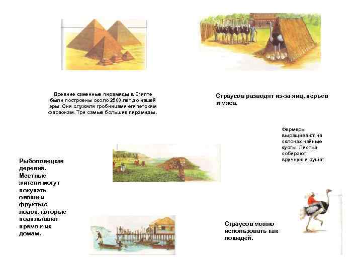 Древние каменные пирамиды в Египте были построены около 2500 лет до нашей эры. Они