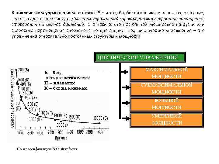 Физиология спортивных нагрузок и построение плана тренировок