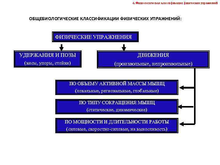 ФИЗИОЛОГИЧЕСКАЯ ХАРАКТЕРИСТИКА ФИЗИЧЕСКИХ УПРАЖНЕНИЙ ПЛАН ЛЕКЦИИ 1