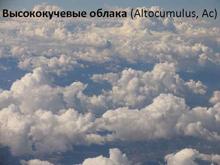 Высококучевые облака (Altocumulus, Ac) 