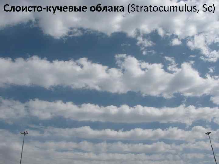 Слоисто-кучевые облака (Stratocumulus, Sc) 