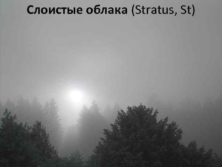 Слоистые облака (Stratus, St) 