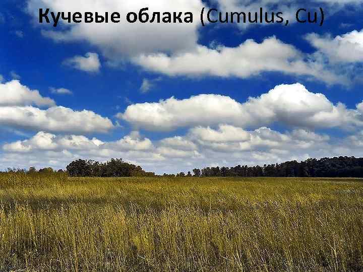 Кучевые облака (Cumulus, Cu) 