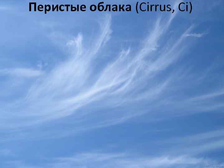 Перистые облака (Cirrus, Ci) 