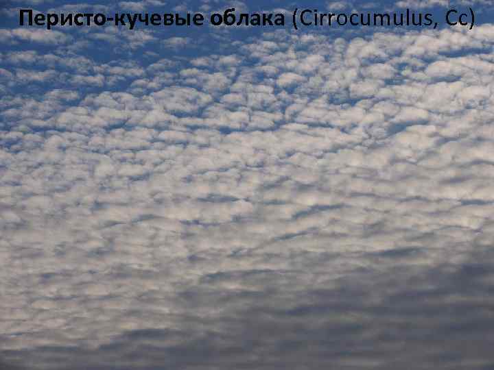 Перисто-кучевые облака (Cirrocumulus, Cc) 