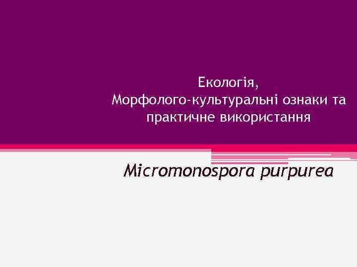 Екологія, Морфолого-культуральні ознаки та практичне використання Micromonospora purpurea 