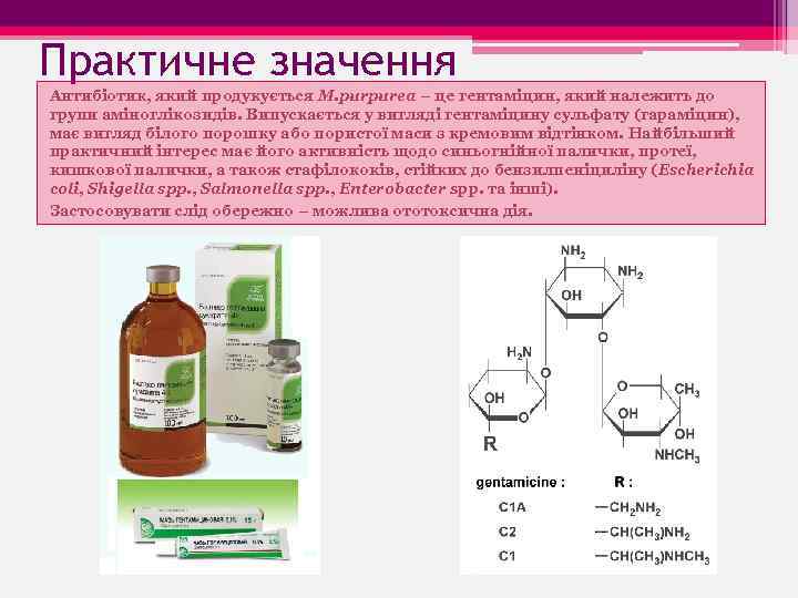 Практичне значення Антибіотик, який продукується M. purpurea – це гентаміцин, який належить до групи