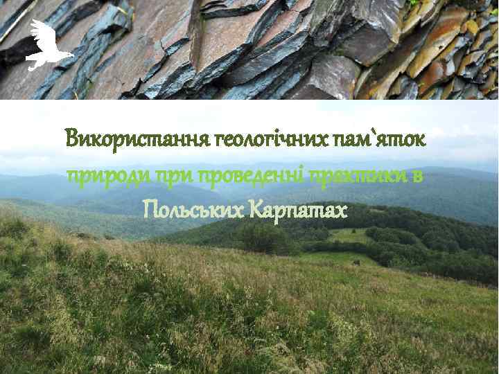 Використання геологічних пам`яток природи проведенні практики в Польських Карпатах 