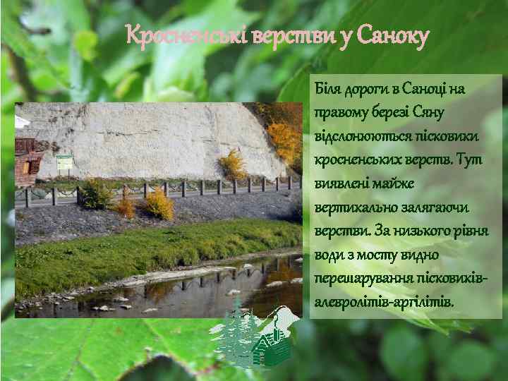 Кросненські верстви у Саноку Біля дороги в Саноці на правому березі Сяну відслонюються пісковики