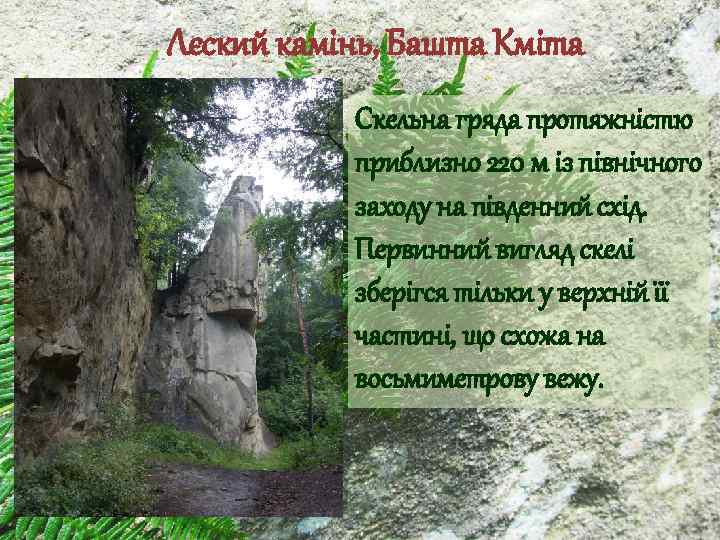 Лєский камінь, Башта Кміта Скельна гряда протяжністю приблизно 220 м із північного заходу на