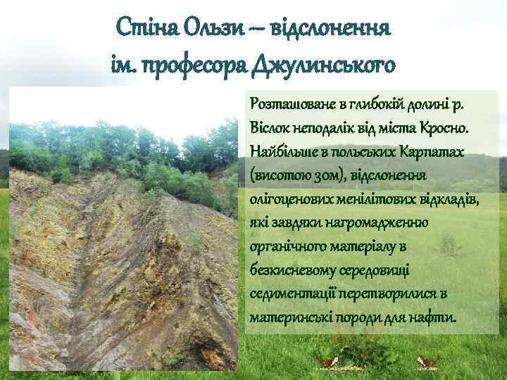 Стіна Ользи – відслонення ім. професора Джулинського Розташоване в глибокій долині р. Віслок неподалік