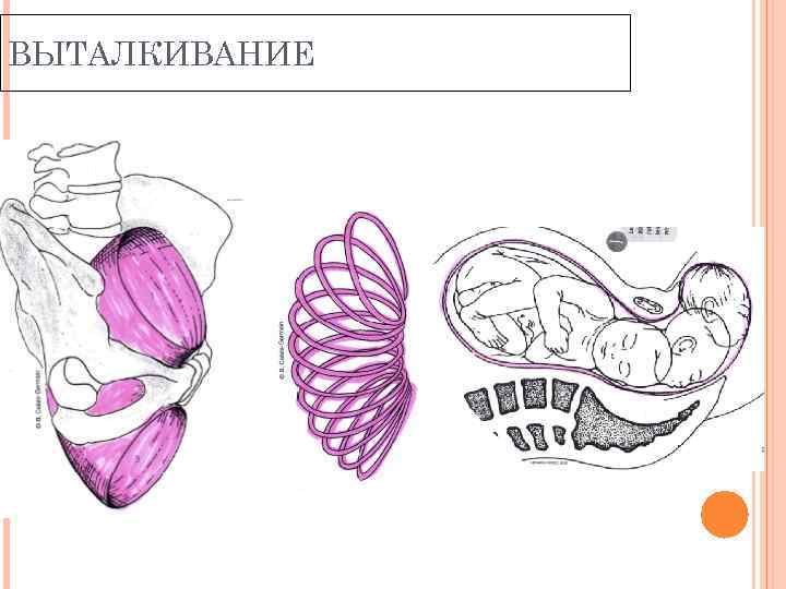 Картинки инмт краткий