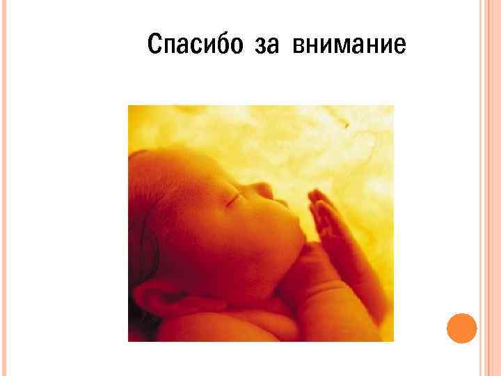 Спасибо за внимание 