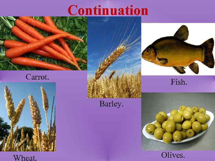 Continuation Carrot. Fish. Barley. Wheat. Olives. 