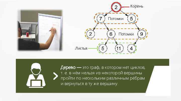 Корень Потомки Листья Дерево — это граф, в котором нет циклов, т. е. в