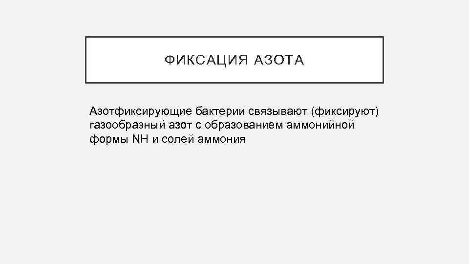 ФИКСАЦИЯ АЗОТА Азотфиксирующие бактерии связывают (фиксируют) газообразный азот с образованием аммонийной формы NH и