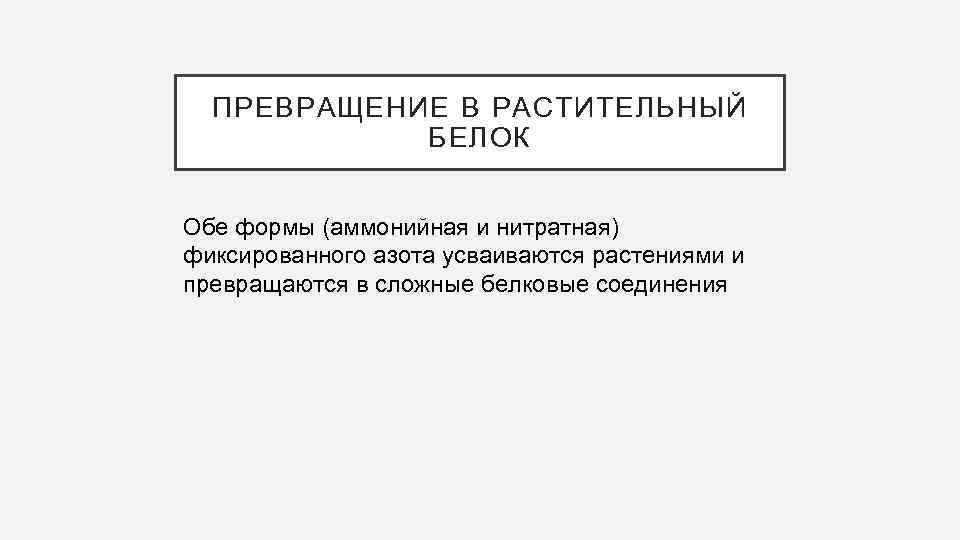 ПРЕВРАЩЕНИЕ В РАСТИТЕЛЬНЫЙ БЕЛОК Обе формы (аммонийная и нитратная) фиксированного азота усваиваются растениями и