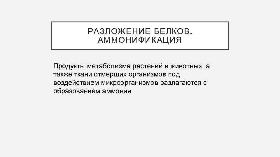 РАЗЛОЖЕНИЕ БЕЛКОВ, АММОНИФИКАЦИЯ Продукты метаболизма растений и животных, а также ткани отмерших организмов под