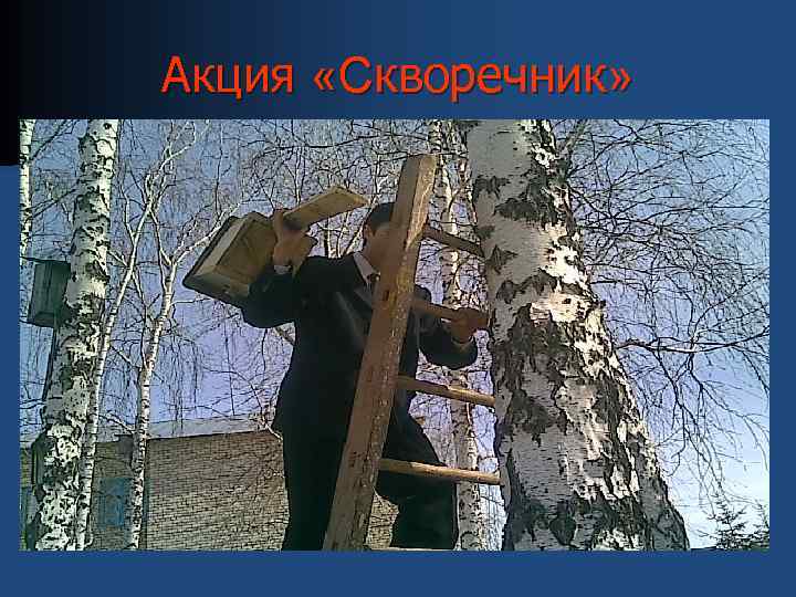 Акция «Скворечник» 