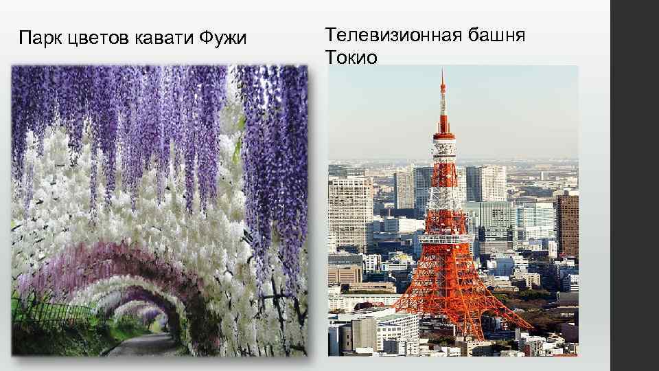 Парк цветов кавати Фужи Телевизионная башня Токио 