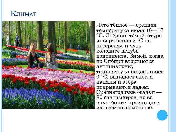 КЛИМАТ Лето тёплое — средняя температура июля 16— 17 °C. Средняя температура января около