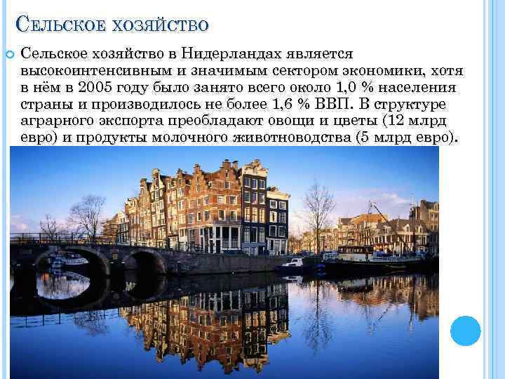 СЕЛЬСКОЕ ХОЗЯЙСТВО Сельское хозяйство в Нидерландах является высокоинтенсивным и значимым сектором экономики, хотя в