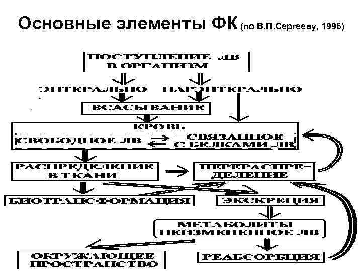 Основные элементы ФК (по В. П. Сергееву, 1996) 