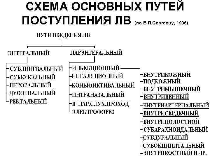 СХЕМА ОСНОВНЫХ ПУТЕЙ ПОСТУПЛЕНИЯ ЛВ (по В. П. Сергееву, 1996) 