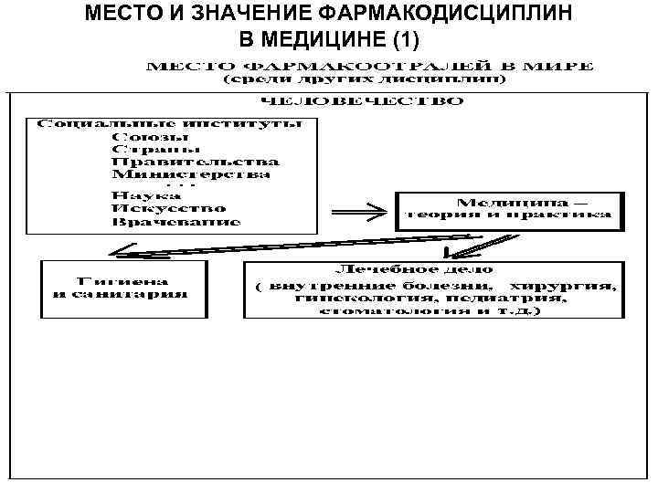 МЕСТО И ЗНАЧЕНИЕ ФАРМАКОДИСЦИПЛИН В МЕДИЦИНЕ (1) 