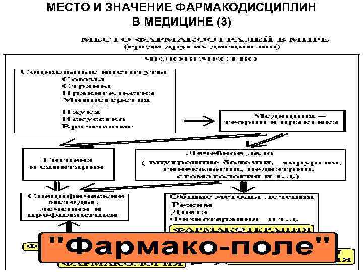 МЕСТО И ЗНАЧЕНИЕ ФАРМАКОДИСЦИПЛИН В МЕДИЦИНЕ (3) 