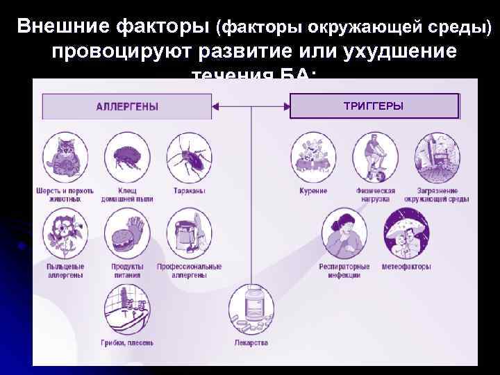 Внешние факторы (факторы окружающей среды) провоцируют развитие или ухудшение течения БА: ТРИГГЕРЫ 