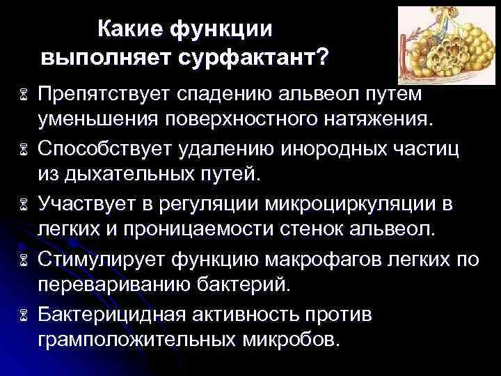 Какие функции выполняет сурфактант? 6 6 6 Препятствует спадению альвеол путем уменьшения поверхностного натяжения.